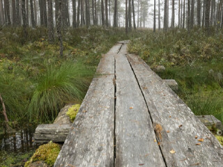普里湖和大沼泽国家公园