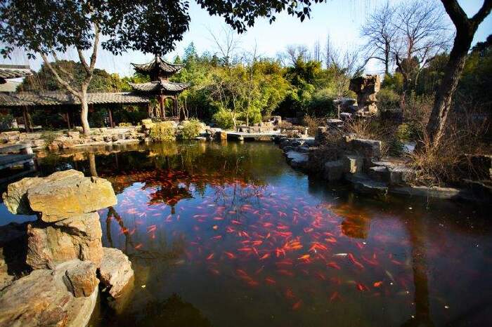 扬州周边自驾游攻略三日游