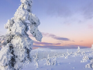 乌尔霍凯科宁国家公园