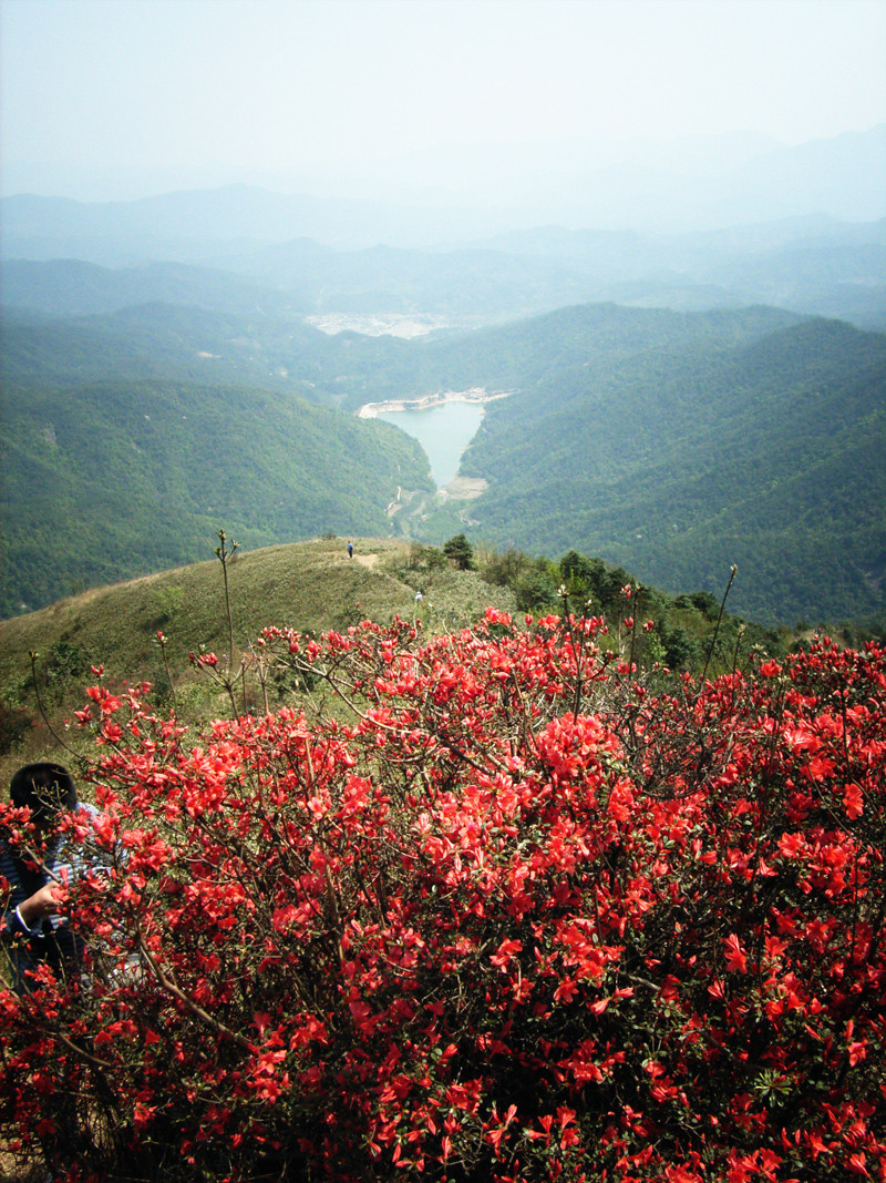        通天蜡烛山