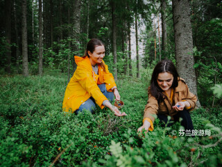 南孔内韦西国家公园