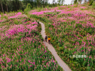 南孔内韦西国家公园