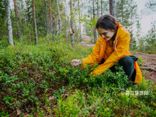 南孔内韦西国家公园