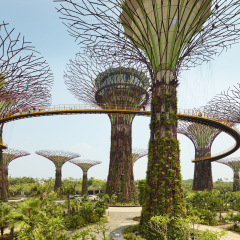 Gardens by the Bay, Singapore