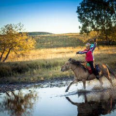 woman gallops horse through stream