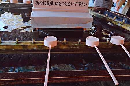 [五一]<日本北海道5晚6日游>洞爷湖地球岬白鸟大桥日高二十道路网红打卡二日自由活动或自费走小樽情书线北海道神宫赏樱圣地