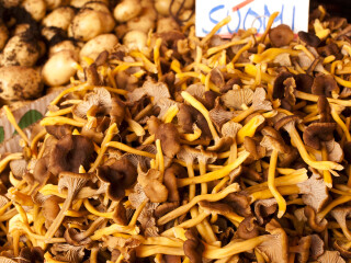 哈卡涅米市场大厅