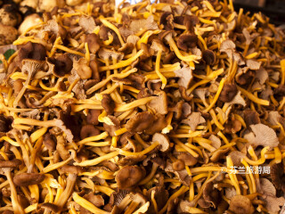 哈卡涅米市场大厅