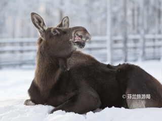 拉努阿野生动物园