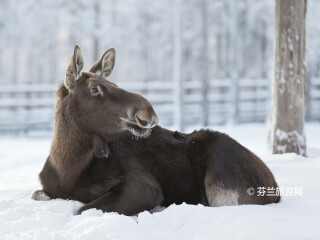拉努阿野生动物园