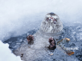 拉努阿野生动物园