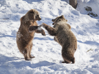 拉努阿野生动物园