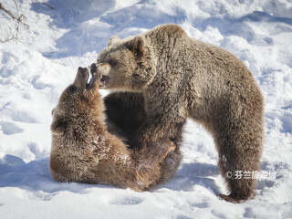拉努阿野生动物园