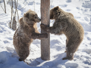 拉努阿野生动物园