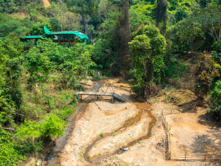 西双版纳原始森林公园