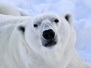 拉努阿野生动物园