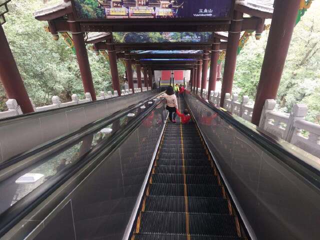  成都-都江堰-青城山双飞4日半自助游>3晚市区酒店,晚起跟团出发川味