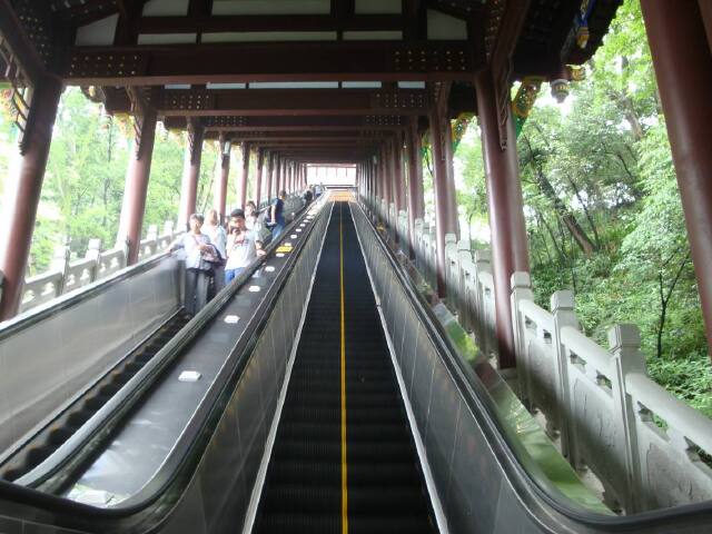  成都-都江堰-青城山双飞4日半自助游>3晚市区酒店,晚起跟团出发川味