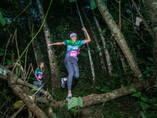 栲帕吊国家公园