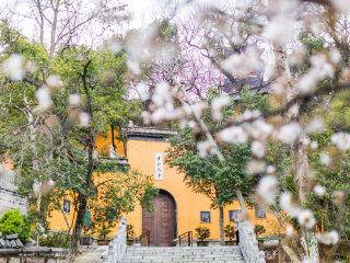 鸡鸣寺