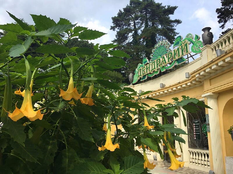 旅俄日记:(七)索契植物园