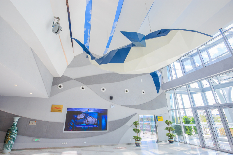 场馆大厅入口处上方的鲨鱼,惟妙惟肖,栩栩