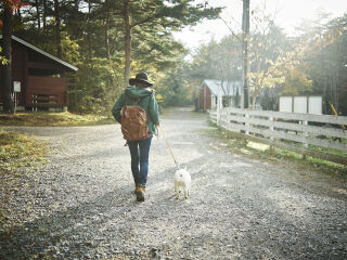 普达措国家森林公园