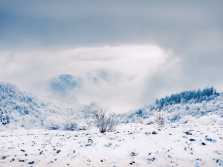 西岭雪山风景名胜区（大邑原始森林）