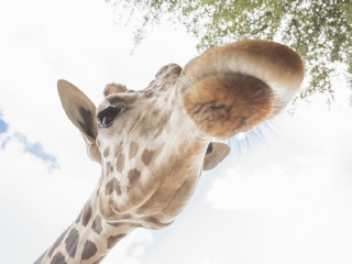 常州淹城野生动物园