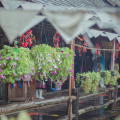 景点模块 