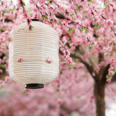 japanese lantern