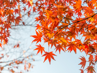 三亚·亚特兰蒂斯失落的空间水族馆