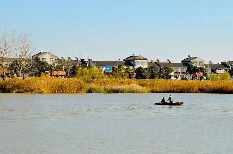 航拍高郵湖蘆葦蕩溼地公園風景美如畫