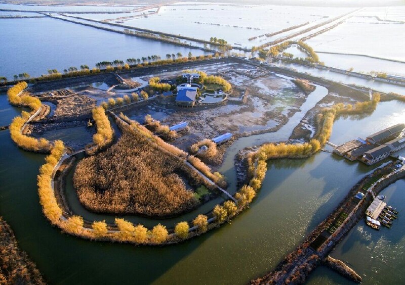 航拍高邮湖芦苇荡湿地公园风景美如画