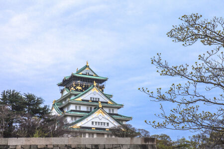 <日本东京-大阪-京都-奈良7日游>西安直飞，海航双点进出，人车同船体验，妻恋度假温泉酒店，森林灯火，4000日元自助晚餐，鳗鱼饭等