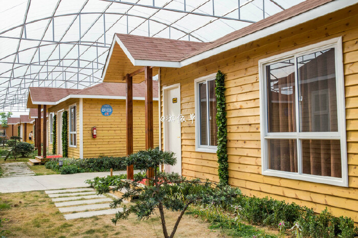 【首发】#猎艳行动#一个大龄女性单身狗的亲子跟团活动