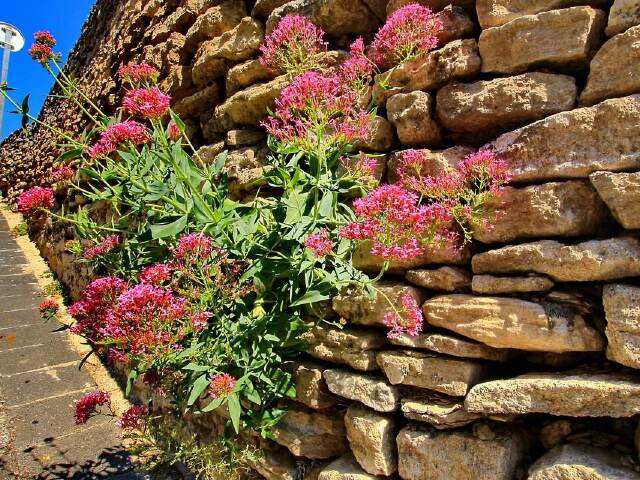 法国南部+西班牙10晚12日 4人小团·专车私导