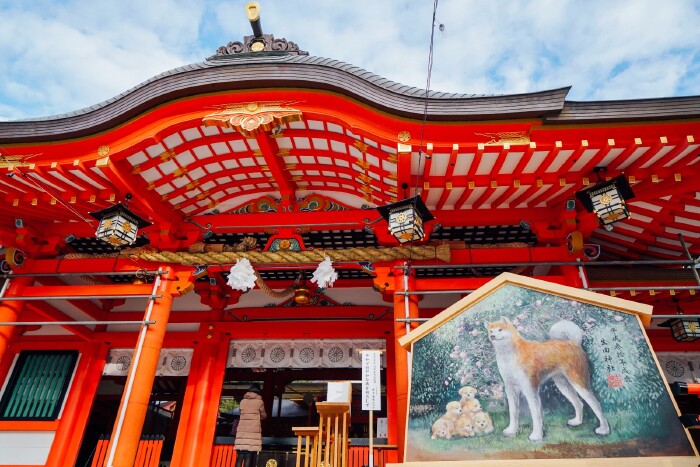 生田神社也是神户赏樱名所,这里可以买到樱花社纹的御守.