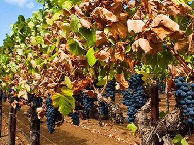 意大利10日游 黄金大运河快船、人生五十必游