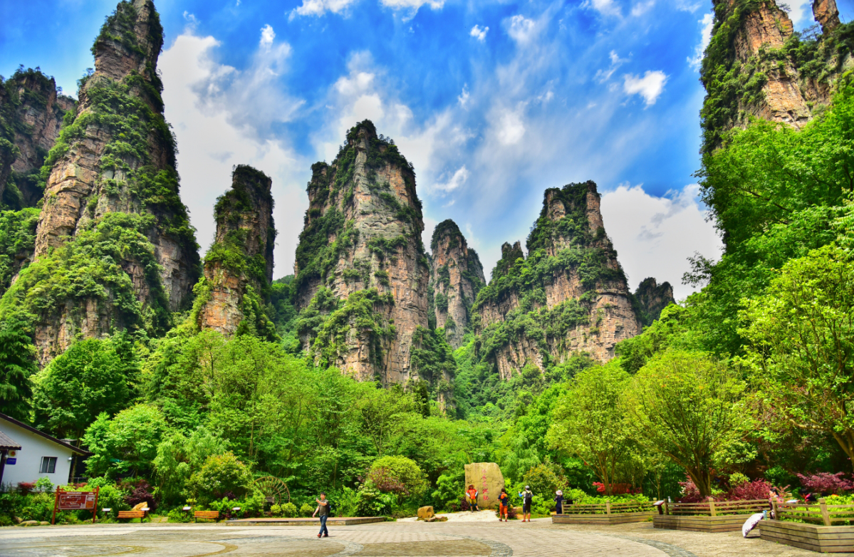 张家界国家森林公园轻松三日游,惬意行路在山间