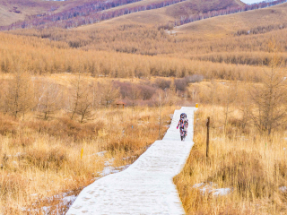 丰宁满族自治县