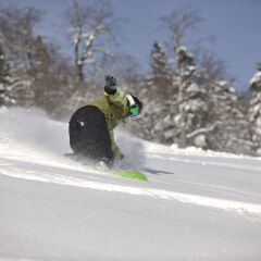 snowboarder woman enjoy freeride on fresh powder snow on beautiful sunny winter morning