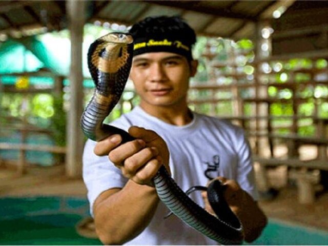 泰国曼谷+芭提雅6日5晚 含导游服务费★舌尖上