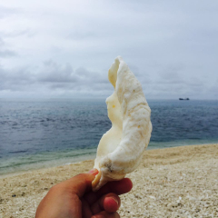 【邮轮】西沙群岛