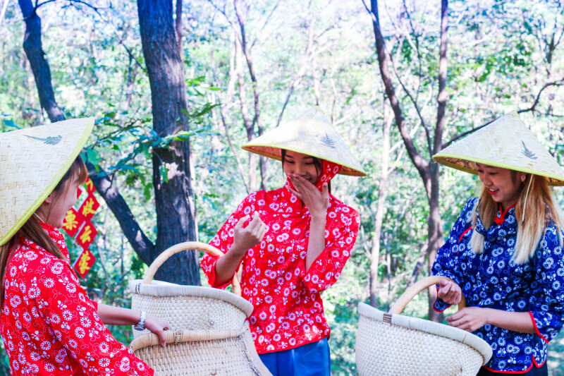 戴上了斗笠,好像身在越南,只欠一身奥黛