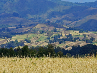 卢旺达火山国家公园