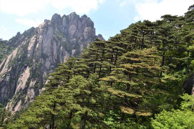 天都峰 天都峰位於玉屏峰南,是黃山三大主峰中