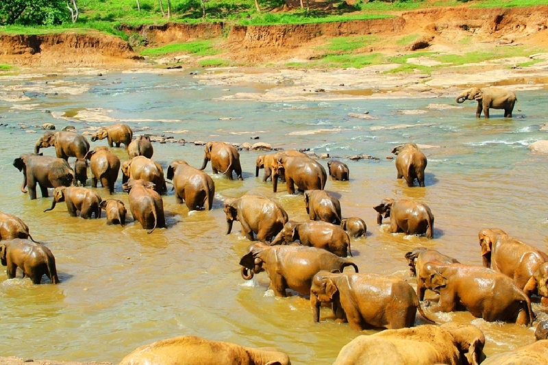 斯里兰卡6晚8日游 北京直飞+含签证含小费+1