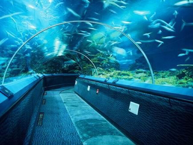 上海外滩观光隧道