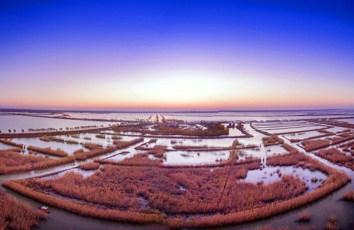 在高郵湖蘆葦蕩溼地公園吃湖鮮看日落(附美食住宿)